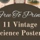 Discover Vintage Scientific Posters: Art & Science! | Vintage Treasures: Discover Rare Antiques, Collectibles & Retro Finds