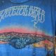 Rare Vintage Grateful Dead T Shirt Collection + More! | Vintage Treasures: Discover Rare Antiques, Collectibles & Retro Finds