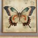 Timeless Vintage Butterfly Wall Art Decor | Vintage Treasures: Discover Rare Antiques, Collectibles & Retro Finds