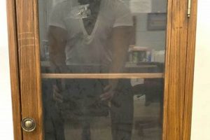 Buy Vintage Glass Door Cabinets: Antique Storage Charm | Vintage Treasures: Discover Rare Antiques, Collectibles & Retro Finds