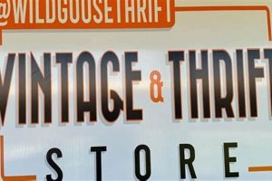 Shop the Wild Goose Vintage & Thrift Store | Unique Finds! | Vintage Treasures: Discover Rare Antiques, Collectibles & Retro Finds