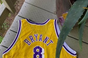 Shop Vintage Kobe Jersey: Authentic Lakers Throwbacks! | Vintage Treasures: Discover Rare Antiques, Collectibles & Retro Finds