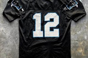 Buy & Sell Vintage Carolina Panthers Jersey: A Collector's Guide | Vintage Treasures: Discover Rare Antiques, Collectibles & Retro Finds