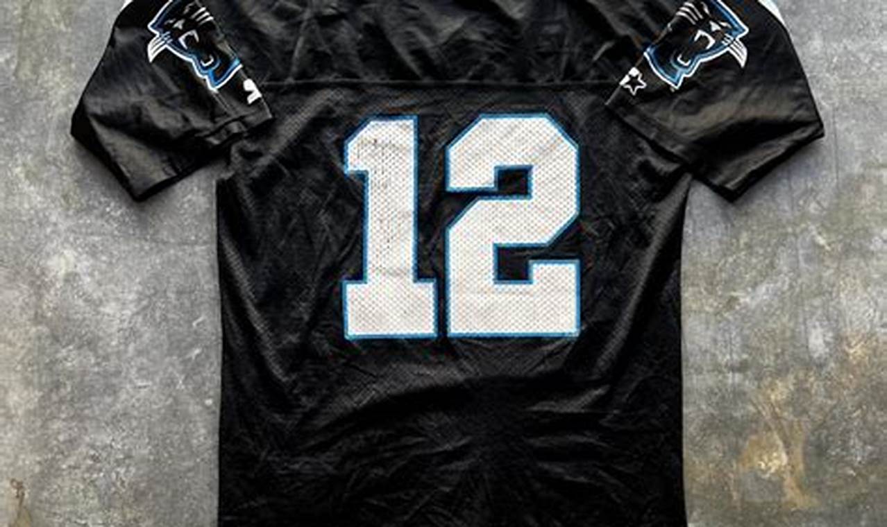 Buy & Sell Vintage Carolina Panthers Jersey: A Collector's Guide | Vintage Treasures: Discover Rare Antiques, Collectibles & Retro Finds