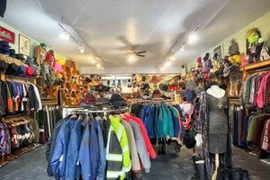 Shop Vintage Clothing Asheville NC: Retro Finds & Styles | Vintage Treasures: Discover Rare Antiques, Collectibles & Retro Finds