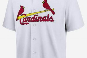 Buy Cardinals Vintage Jerseys: Classic Team Apparel | Vintage Treasures: Discover Rare Antiques, Collectibles & Retro Finds