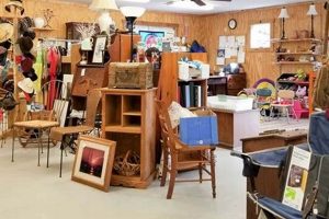 Shop Unique: Vintage Stores Asheville, NC Finds Vintage Treasures: Discover Rare Antiques, Collectibles & Retro Finds Shop Unique: Vintage Stores Asheville, NC Finds | Vintage Treasures: Discover Rare Antiques, Collectibles & Retro Finds