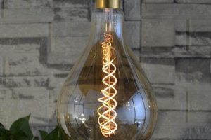 Shop Antique Large Vintage Light Bulbs | [Your Brand] | Vintage Treasures: Discover Rare Antiques, Collectibles & Retro Finds
