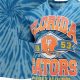 Own a Piece of History: Florida Gators Vintage T-Shirts! | Vintage Treasures: Discover Rare Antiques, Collectibles & Retro Finds