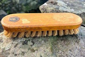 Old & Lovely: Vintage Clothes Brush Guide for Garments | Vintage Treasures: Discover Rare Antiques, Collectibles & Retro Finds