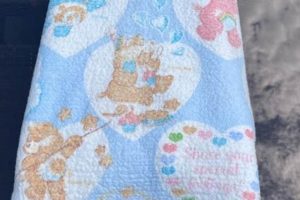 Snuggle Up! Retro Vintage Care Bear Blanket Treasures | Vintage Treasures: Discover Rare Antiques, Collectibles & Retro Finds