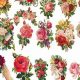 Timeless Blooms: Vintage Clip Art Flowers Collection | Vintage Treasures: Discover Rare Antiques, Collectibles & Retro Finds