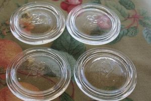Collecting Vintage Canning Jars with Glass Lids: Guide & Values | Vintage Treasures: Discover Rare Antiques, Collectibles & Retro Finds