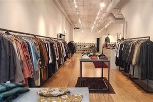 Ann Arbor's Best Vintage Clothing Shops Near You! | Vintage Treasures: Discover Rare Antiques, Collectibles & Retro Finds