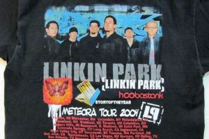 Rare Vintage Linkin Park Shirt: Collectors' Find! | Vintage Treasures: Discover Rare Antiques, Collectibles & Retro Finds