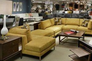Find Your Perfect Vintage Furniture in San Antonio, TX | Vintage Treasures: Discover Rare Antiques, Collectibles & Retro Finds