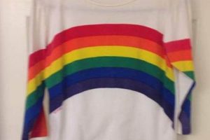 Retro Vibes: Vintage Rainbow Shirt Style (Rare!) | Vintage Treasures: Discover Rare Antiques, Collectibles & Retro Finds