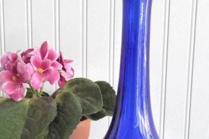 Timeless Blue Glass Vases: Vintage Decor Finds Vintage Treasures: Discover Rare Antiques, Collectibles & Retro Finds Timeless Blue Glass Vases: Vintage Decor Finds | Vintage Treasures: Discover Rare Antiques, Collectibles & Retro Finds
