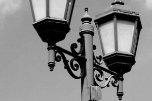 Illuminate with History: Vintage Lamp Post Lights For Sale | Vintage Treasures: Discover Rare Antiques, Collectibles & Retro Finds