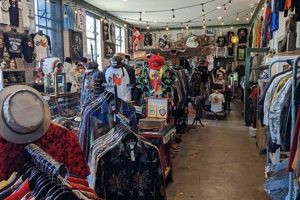 Best Vintage Clothing Stores in Nashville, TN: Shop Now! | Vintage Treasures: Discover Rare Antiques, Collectibles & Retro Finds