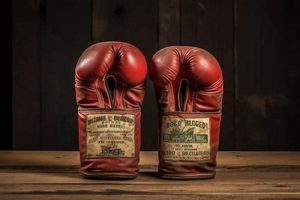 Own a Piece of History: Vintage Boxing Gear & More | Vintage Treasures: Discover Rare Antiques, Collectibles & Retro Finds