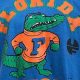 Score! Vintage Florida Gators Shirt Collection + Guide | Vintage Treasures: Discover Rare Antiques, Collectibles & Retro Finds