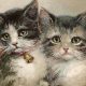 Purrfect Cat Vintage Art: Prints & More! | Vintage Treasures: Discover Rare Antiques, Collectibles & Retro Finds