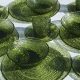 Collecting Vintage Green Glass Dishes: Styles & Values | Vintage Treasures: Discover Rare Antiques, Collectibles & Retro Finds