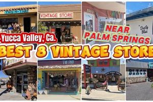 Discover: Vintage Stores Palm Springs Treasures! | Vintage Treasures: Discover Rare Antiques, Collectibles & Retro Finds