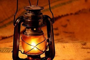Illuminate History: Oil Lamp Vintage Collection | Vintage Treasures: Discover Rare Antiques, Collectibles & Retro Finds