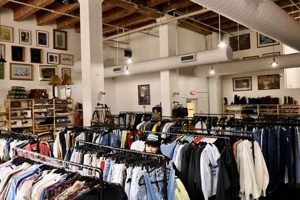 Shop Seattle Vintage Clothing Stores: Find Your Style! | Vintage Treasures: Discover Rare Antiques, Collectibles & Retro Finds