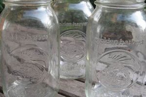 Guide to Vintage Golden Harvest Mason Jars & Values | Vintage Treasures: Discover Rare Antiques, Collectibles & Retro Finds
