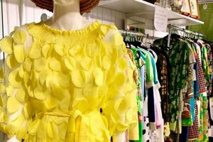 Shop Vintage Clothing Memphis TN: Retro Finds & More! | Vintage Treasures: Discover Rare Antiques, Collectibles & Retro Finds