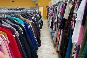 Shop Goodwill Vintage Store: Find Unique Treasures! | Vintage Treasures: Discover Rare Antiques, Collectibles & Retro Finds