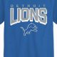 Own History: Vintage Detroit Lions T Shirt Collection | Vintage Treasures: Discover Rare Antiques, Collectibles & Retro Finds