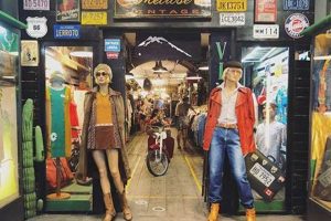 Shop Melrose Vintage Clothing Stores: Finds & Deals! | Vintage Treasures: Discover Rare Antiques, Collectibles & Retro Finds