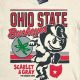 Collectible Vintage Ohio State Shirt Guide: Past &amp; Present | Vintage Treasures: Discover Rare Antiques, Collectibles & Retro Finds