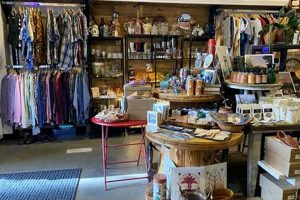 Best Vintage Stores in Portland, ME: [Your Store Name] | Vintage Treasures: Discover Rare Antiques, Collectibles & Retro Finds