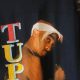 Rare 2Pac Shirt Vintage: Find Your Hip Hop Tee! | Vintage Treasures: Discover Rare Antiques, Collectibles & Retro Finds