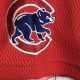 Shop Authentic Chicago Cubs Vintage Jerseys & More! | Vintage Treasures: Discover Rare Antiques, Collectibles & Retro Finds