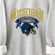 Buy Rare Vintage Michigan Shirt Now! | Vintage Treasures: Discover Rare Antiques, Collectibles & Retro Finds