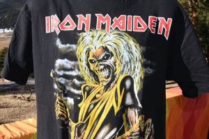 Rare Vintage Iron Maiden Shirt: History on Display! | Vintage Treasures: Discover Rare Antiques, Collectibles & Retro Finds