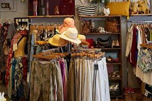 Discover Lexington KY Vintage Stores: Find Your Treasure! | Vintage Treasures: Discover Rare Antiques, Collectibles & Retro Finds
