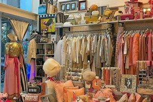 Shop Brooklyn Vintage Stores: Unique Finds Near You | Vintage Treasures: Discover Rare Antiques, Collectibles & Retro Finds