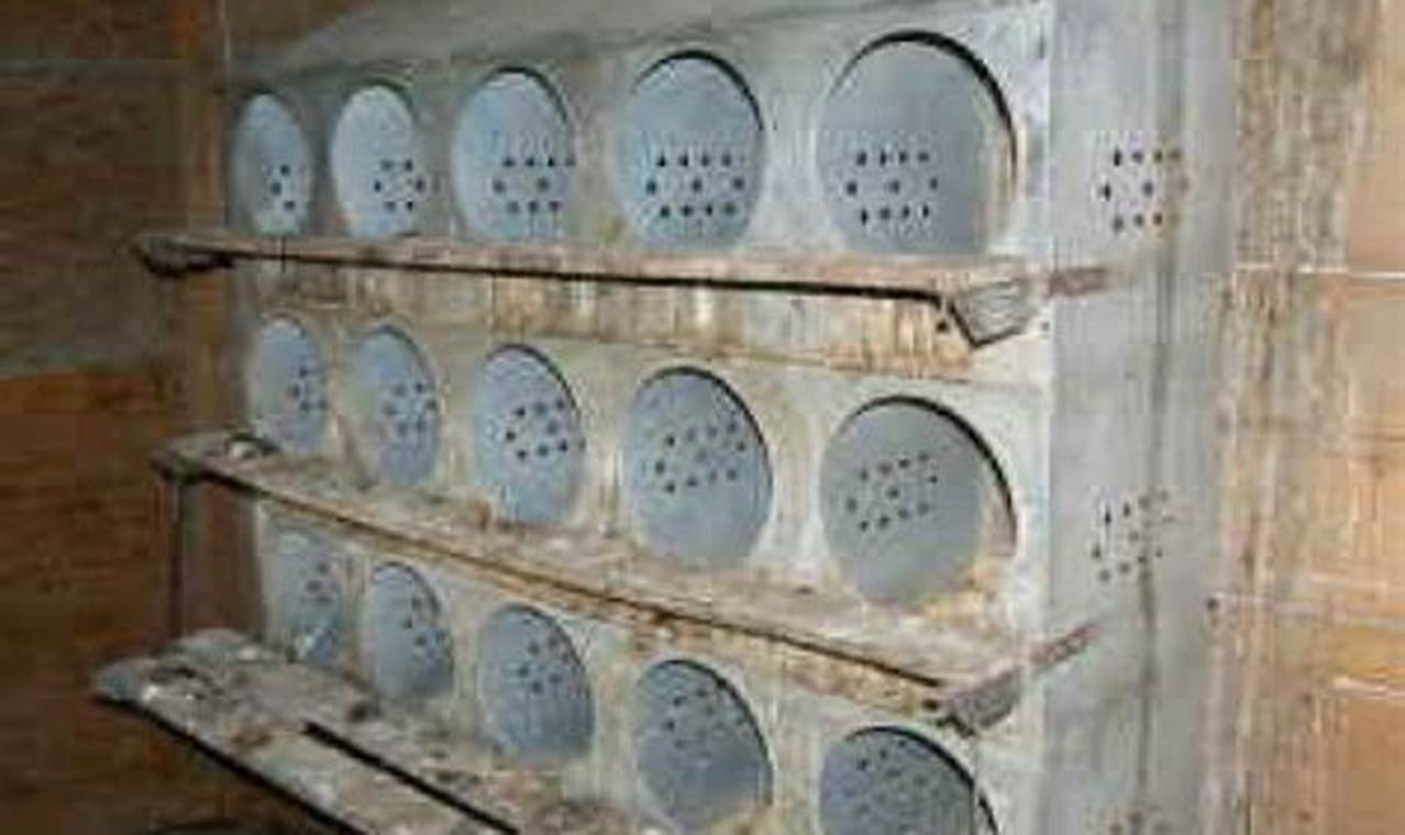 Rustic Charm: Vintage Chicken Nesting Boxes for Sale! | Vintage Treasures: Discover Rare Antiques, Collectibles & Retro Finds
