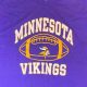 Vintage Vikings T-Shirts: Throwback Minnesota Pride | Vintage Treasures: Discover Rare Antiques, Collectibles & Retro Finds