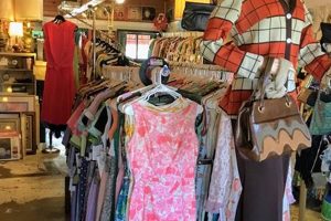 Shop Authentic Vintage Clothing Phoenix AZ Today! | Vintage Treasures: Discover Rare Antiques, Collectibles & Retro Finds